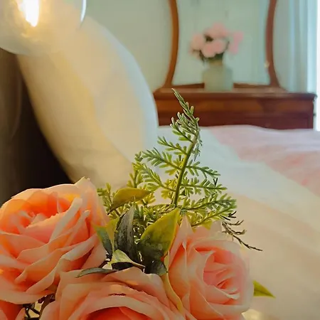 Maria 알리베리